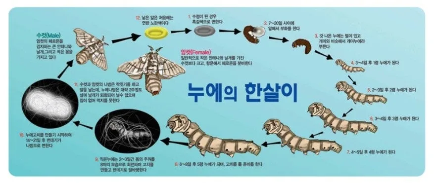 다운로드 (6).jfif