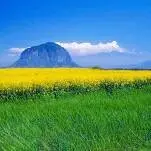 22c3c4fbcad9a37946e7551a67e9e9d363210124