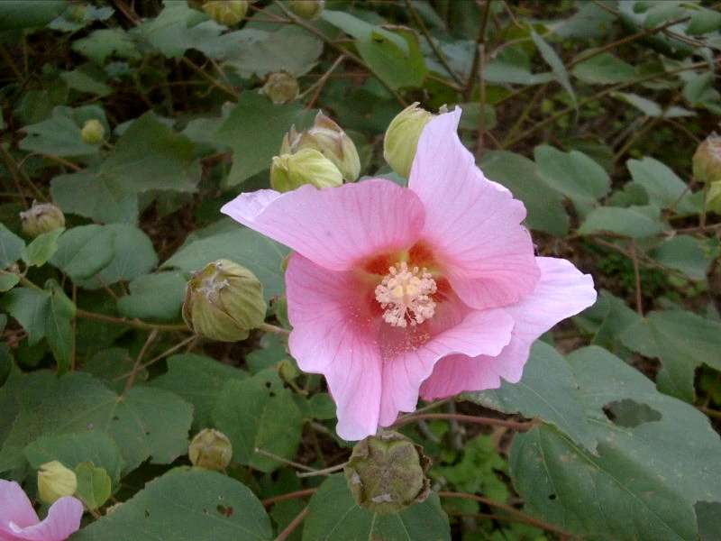 다운로드 (22).jfif