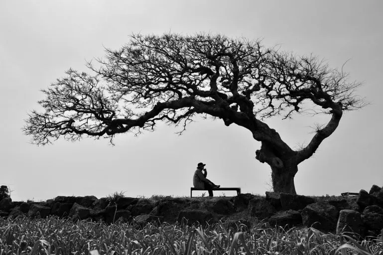 다운로드 (9).jfif