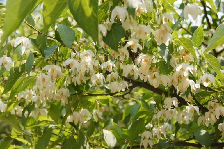 다운로드 (1).jfif