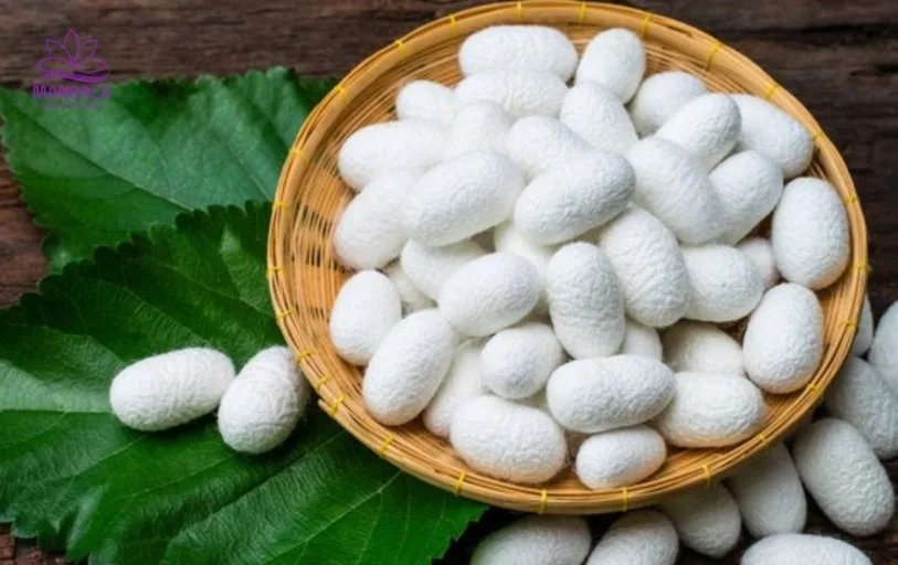 다운로드 (17).jfif