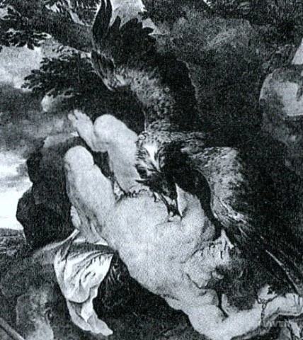 ?src=%22https%3A%2F%2Fdbscthumb-phinf.pstatic.net%2F2641_000_1%2F20140609173641870_90V2RJMY7.jpg%2Fi1752.jpg%3Ftype%3Dm4500_4500_fst_n%26wm%3DY%22&twidth=428&theight=480&opts=17