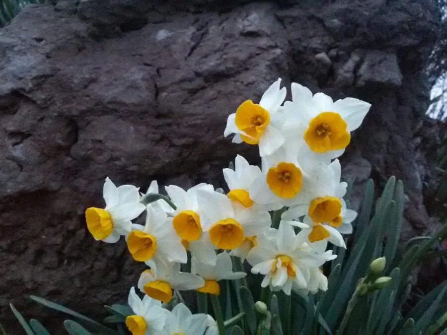 20180219_182541.jpg?type=w1200