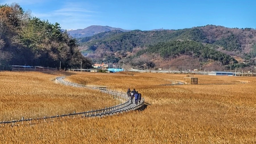 다운로드 (7).jfif