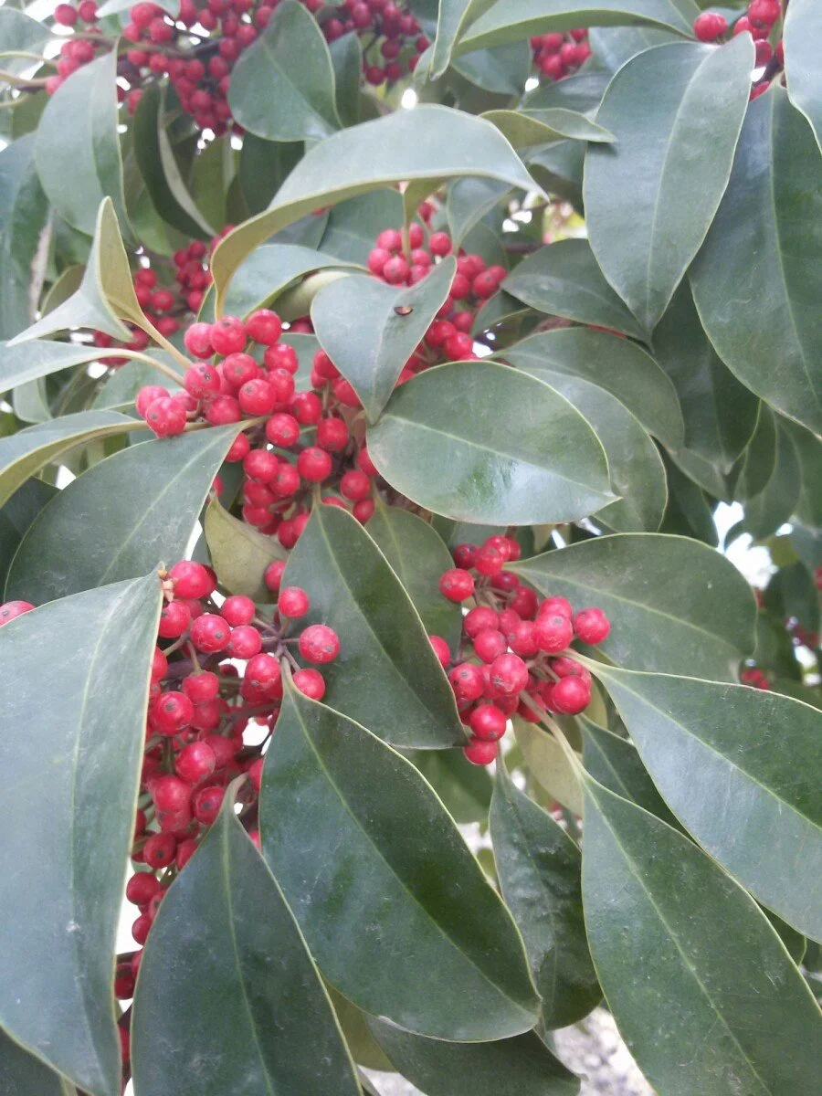 20180223_113632.jpg?type=w1200