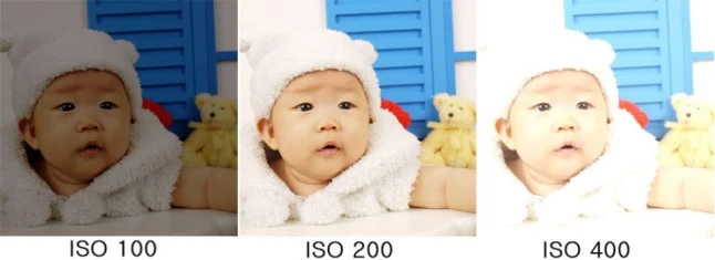 img_01.jpg?type=w646