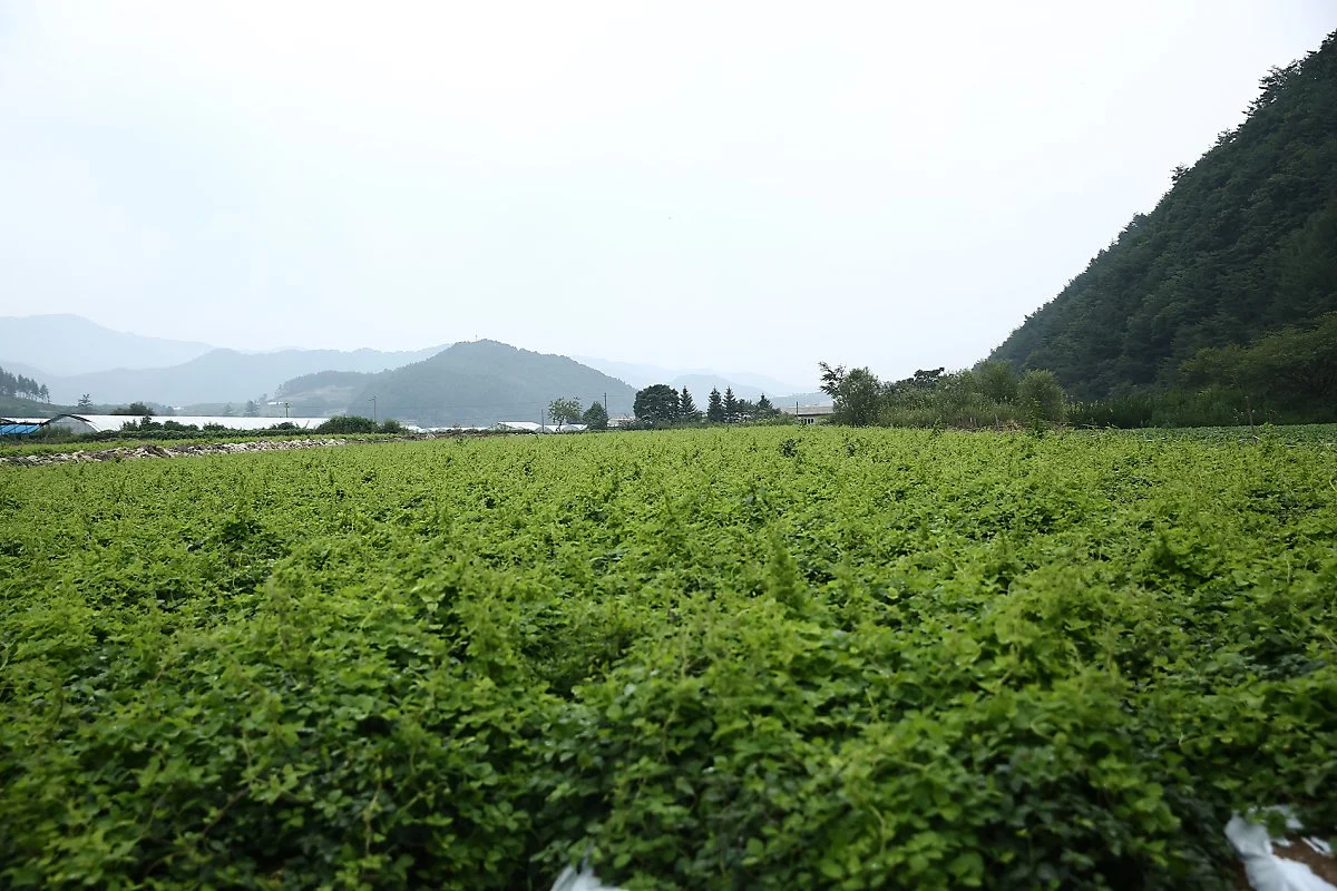 HP3A9303.jpg?type=w1200