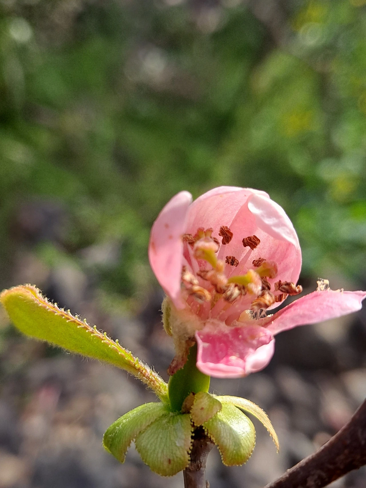 p2MAYgaiH2NBhkxV0UlSgPta9_A