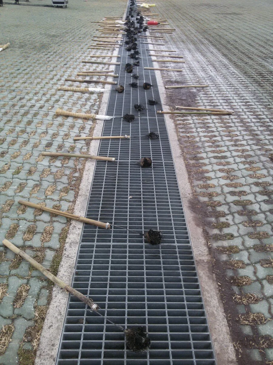 20180303_090033.jpg?type=w1200