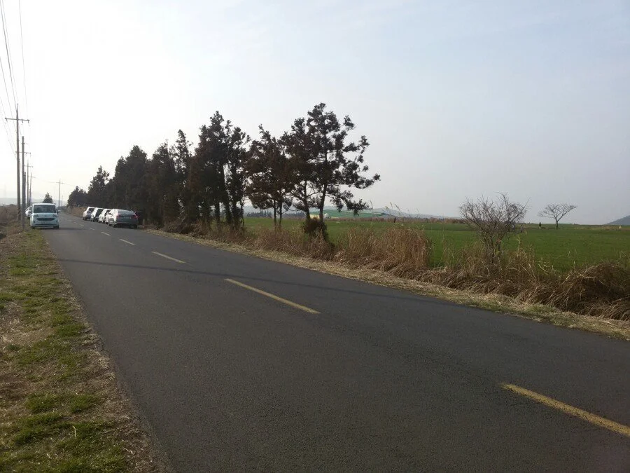 20180311_164240.jpg?type=w1200