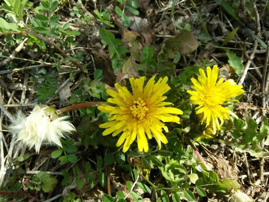 20180312_105419.jpg?type=w1200