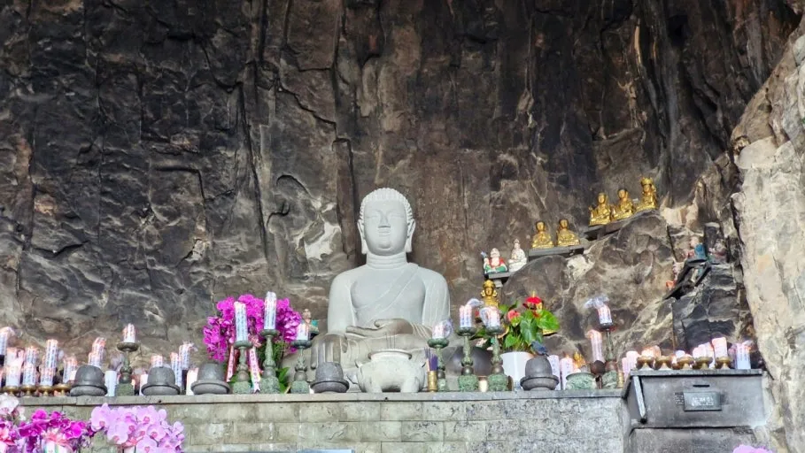 다운로드 (19).jfif