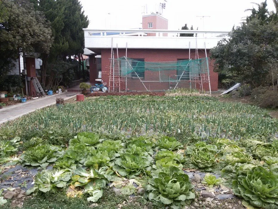 20180218_161828.jpg?type=w1200