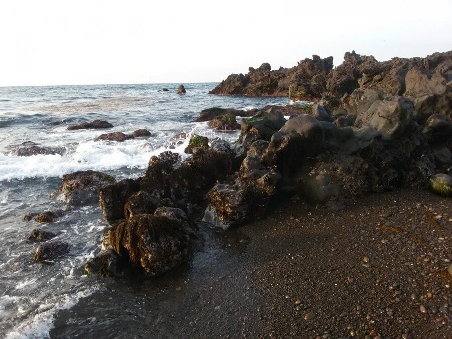 20180216_172918.jpg?type=w1200