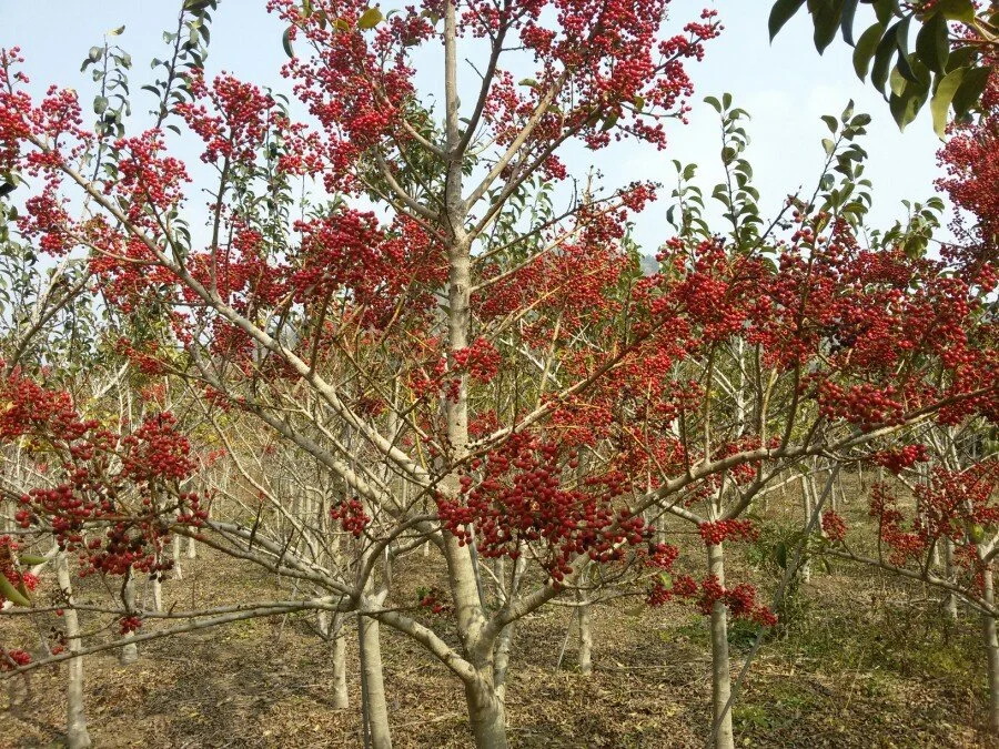 20180223_130953.jpg?type=w1200