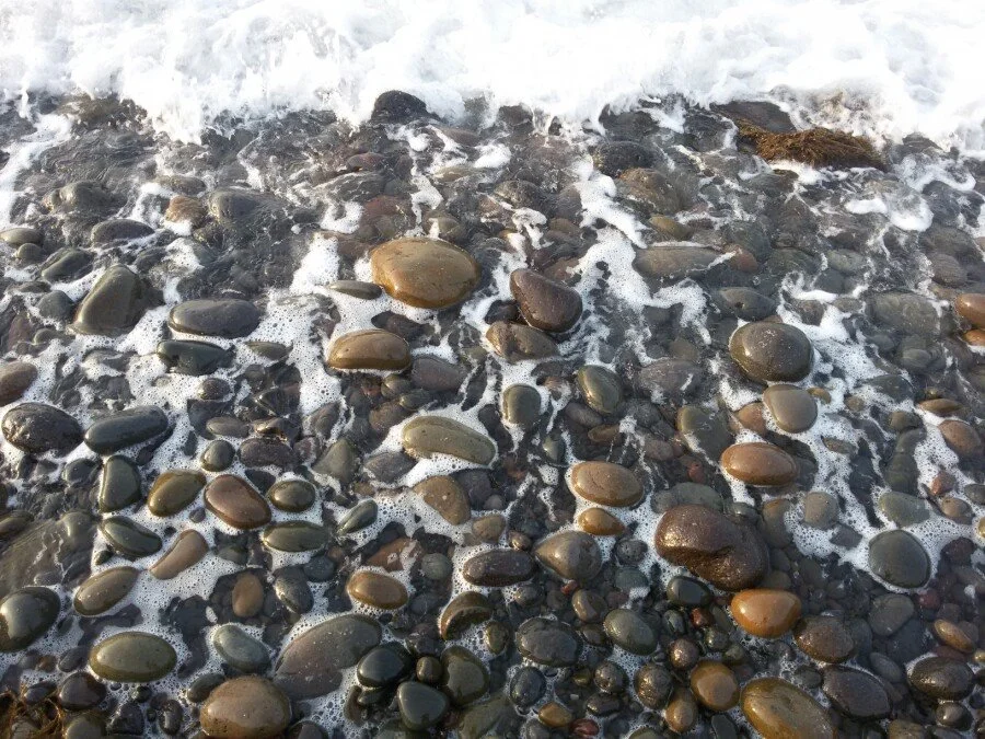 20180216_172156.jpg?type=w1200