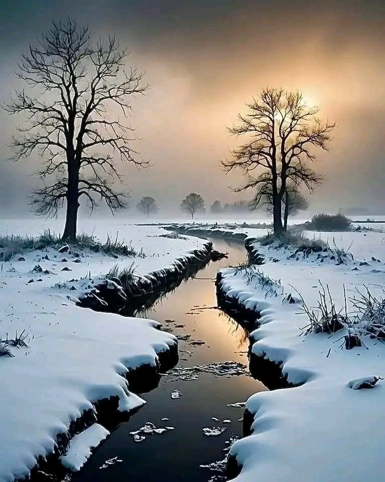 다운로드 (19).jfif