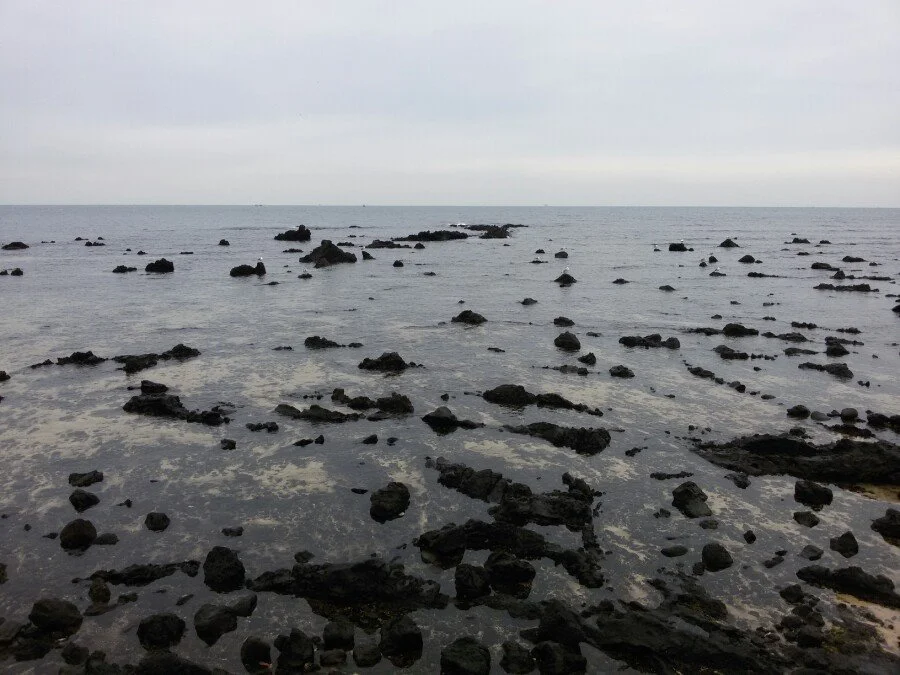 20180218_151505.jpg?type=w1200