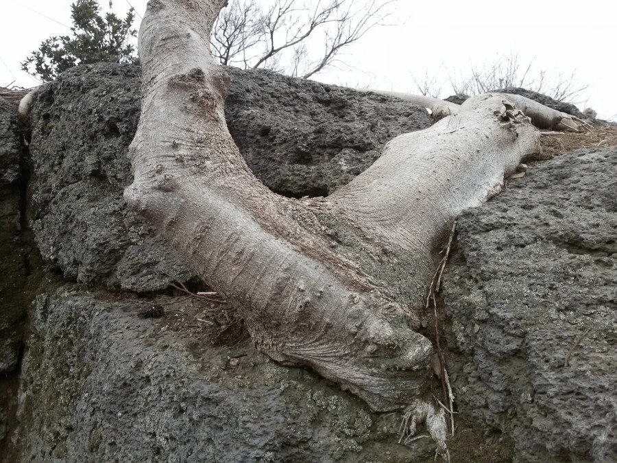 20180218_161502.jpg?type=w1200