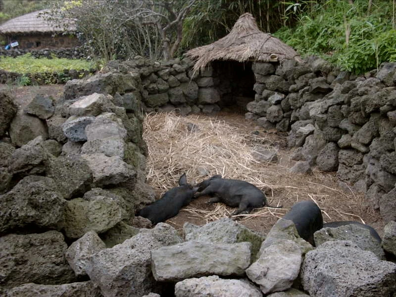 다운로드 (9).jfif