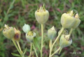 s_sm3_41_i2.jpg?type=w276_fst_n&wm=Y