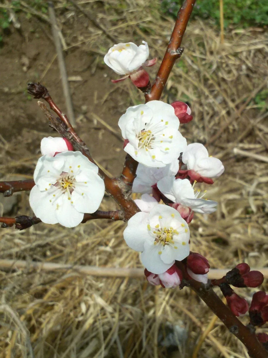 20180312_101822.jpg?type=w1200