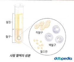 374021.jpg?type=m250&wm=N