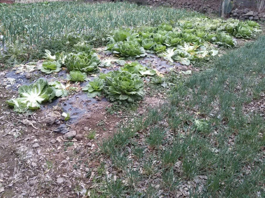 20180218_161914.jpg?type=w1200