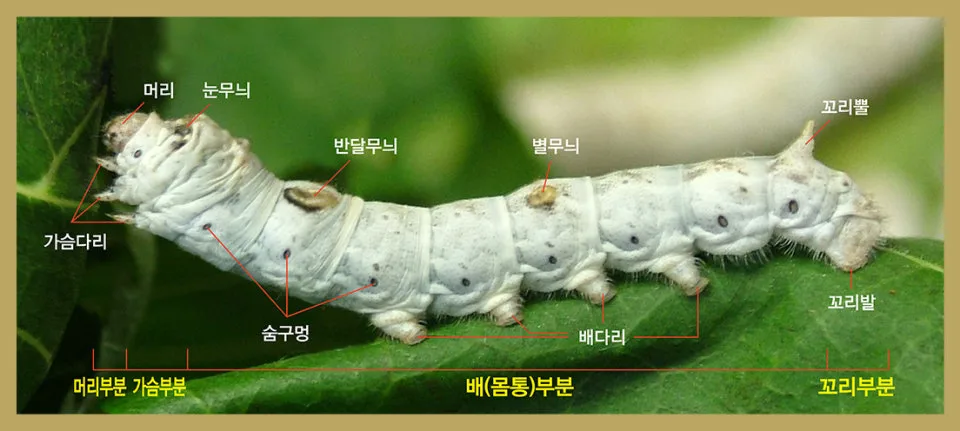 다운로드 (24).jfif