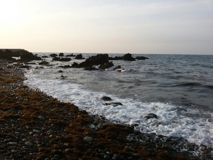 20180216_172335.jpg?type=w1200