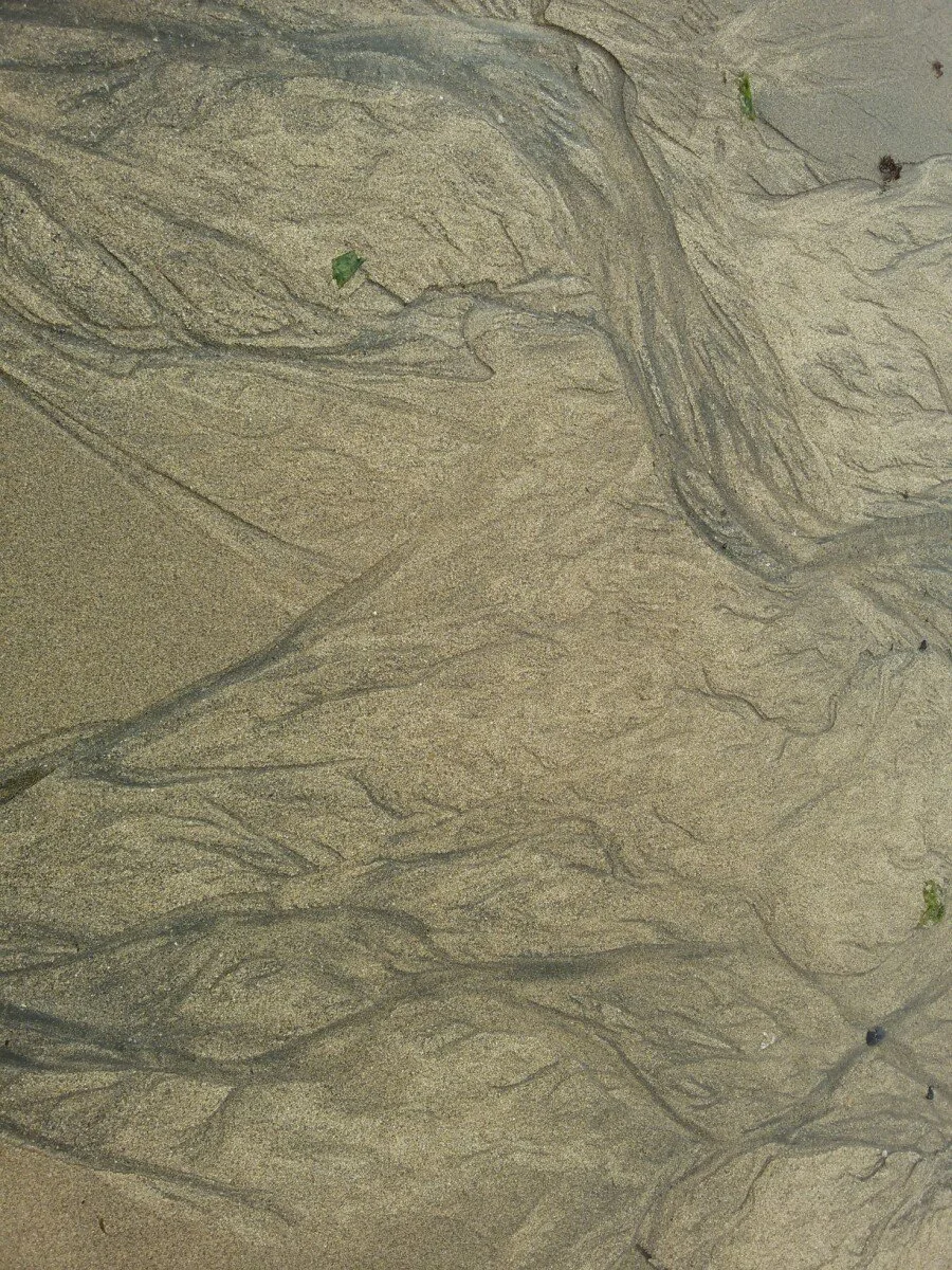 20180528_164909.jpg?type=w1200