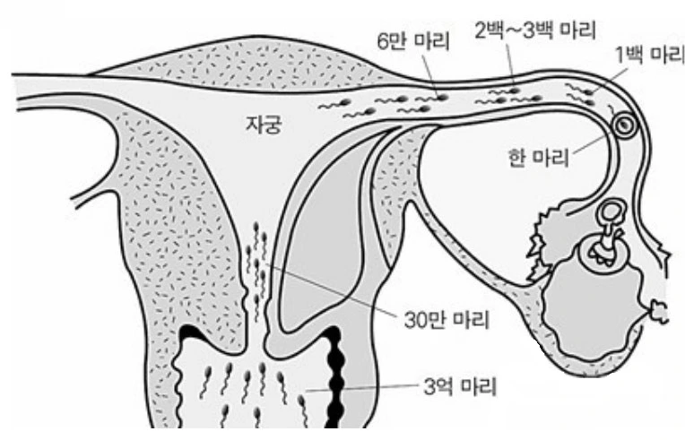다운로드 (5).jfif