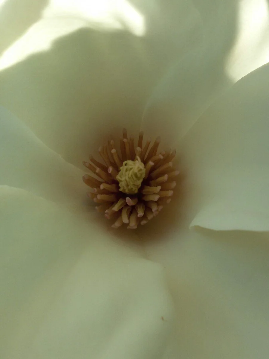 20180312_161331.jpg?type=w1200