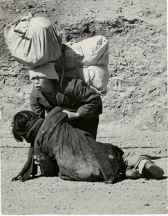 다운로드 (44).jfif