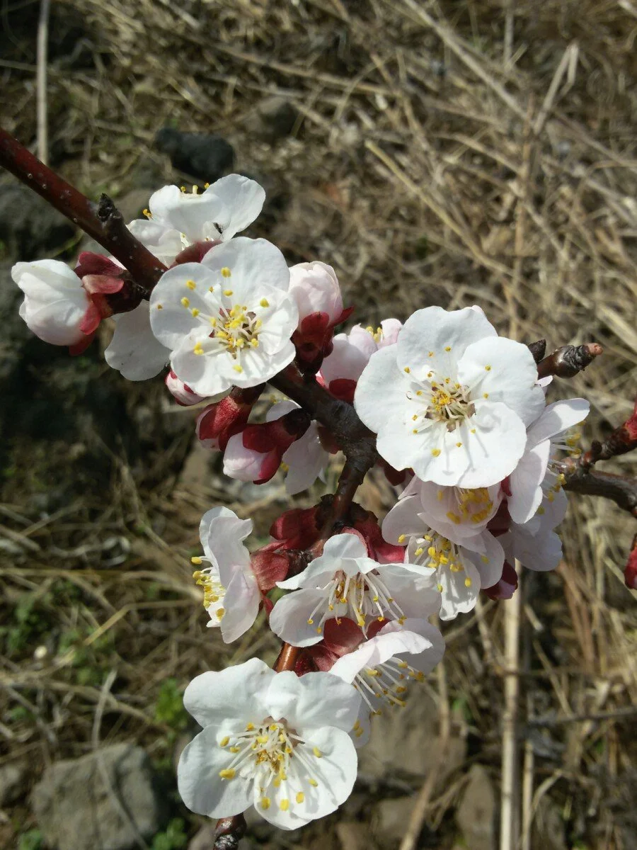 20180312_101853.jpg?type=w1200