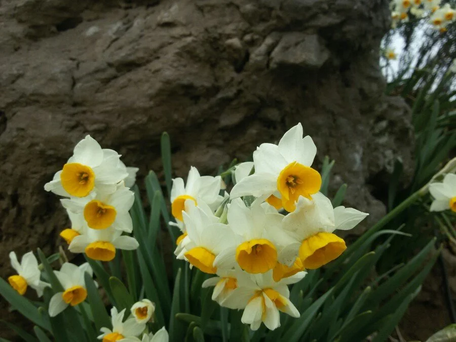 20180222_123148.jpg?type=w1200