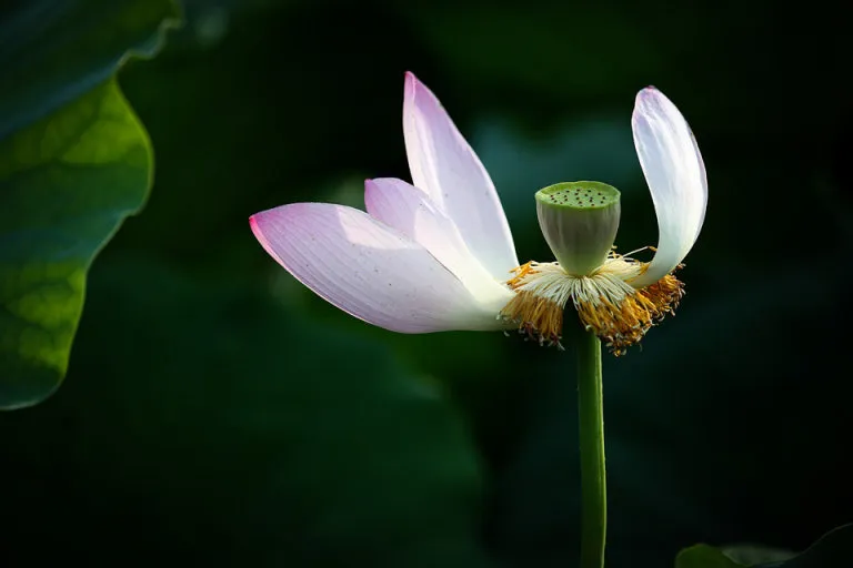 다운로드 (35).jfif