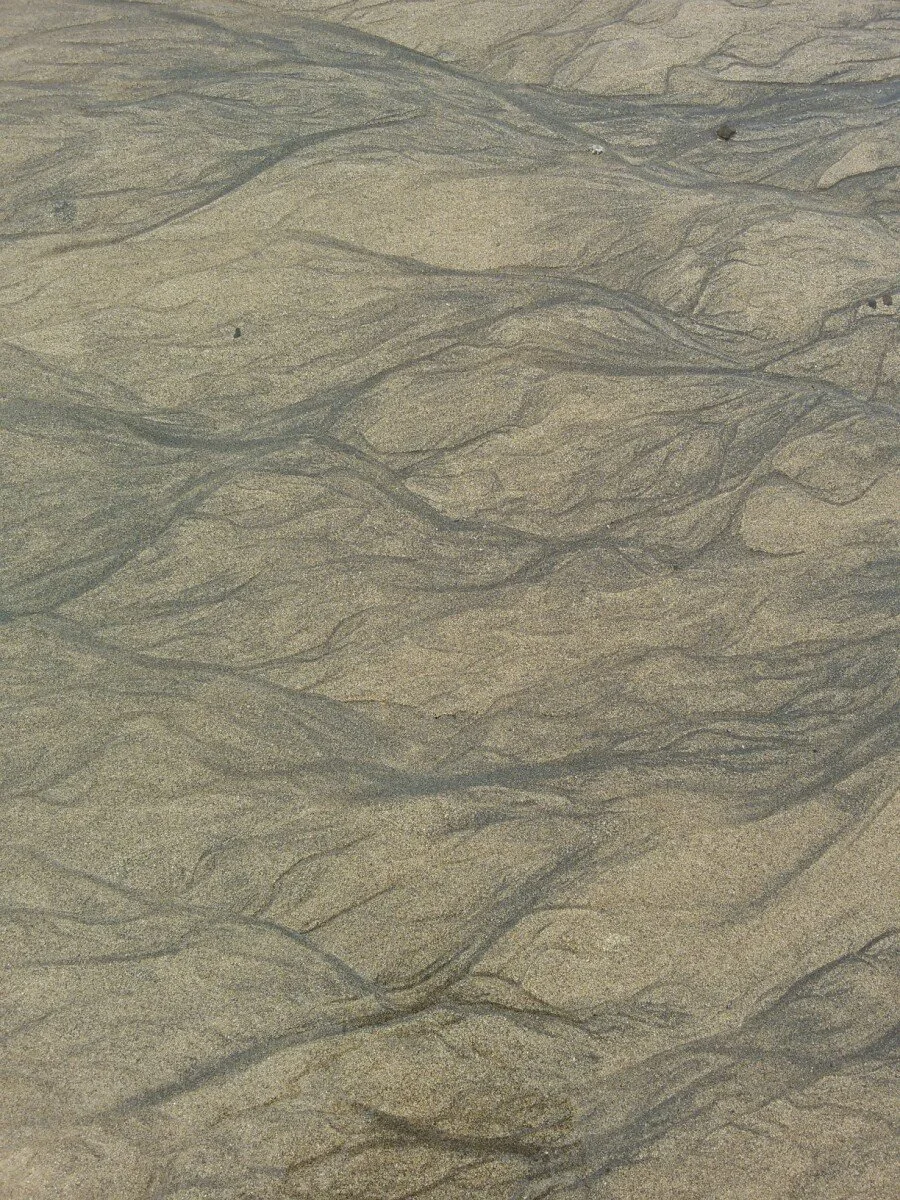 20180528_165237.jpg?type=w1200