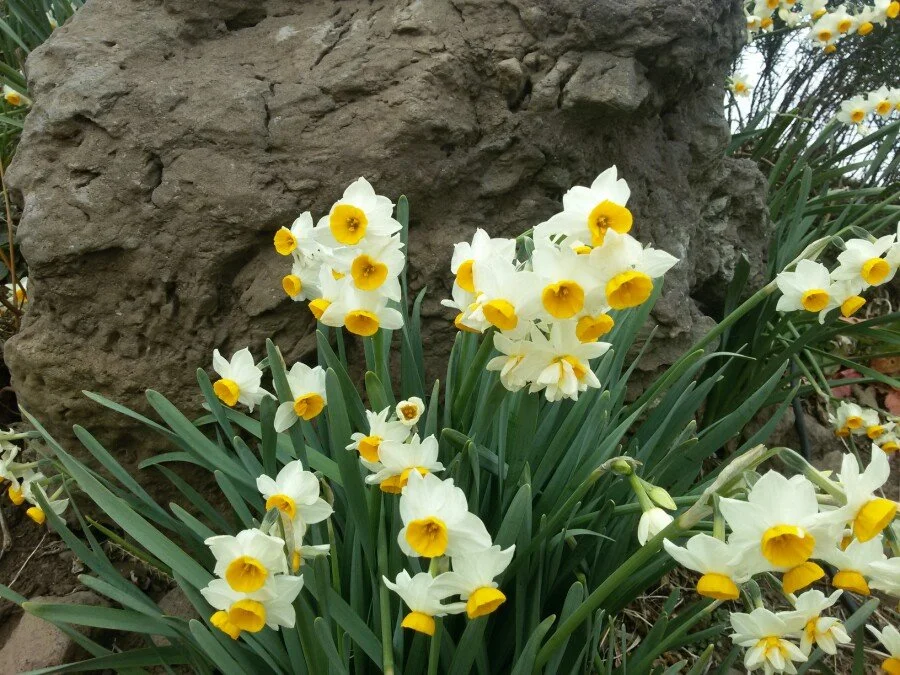 20180222_123143.jpg?type=w1200