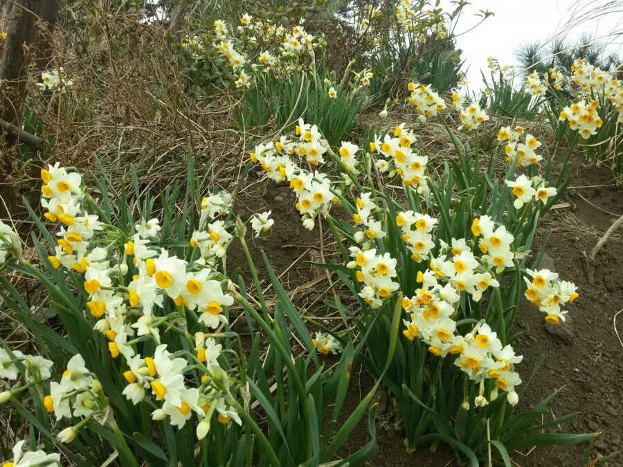 20180222_123204.jpg?type=w1200