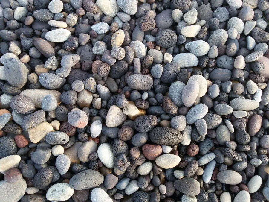 20180216_172017.jpg?type=w1200