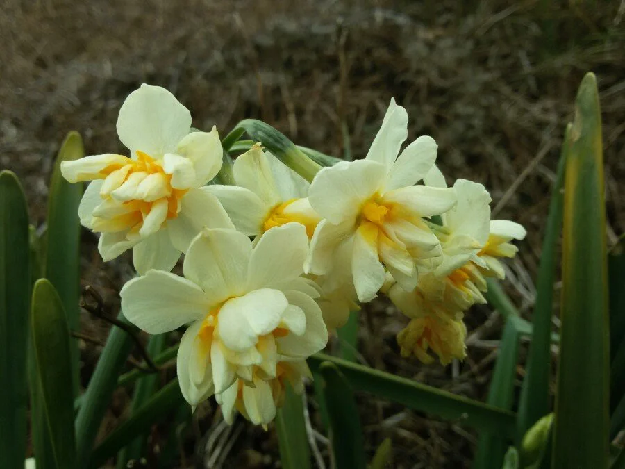 20180222_124040.jpg?type=w1200