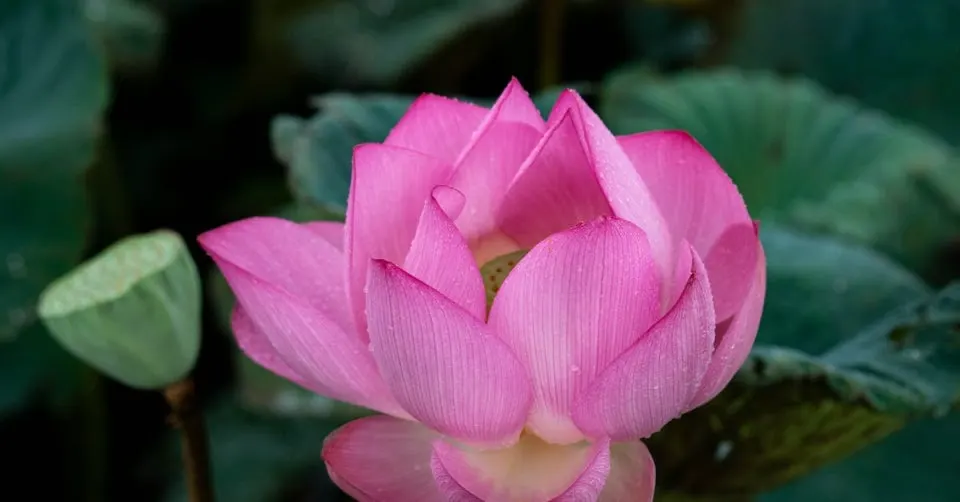 다운로드 (34).jfif