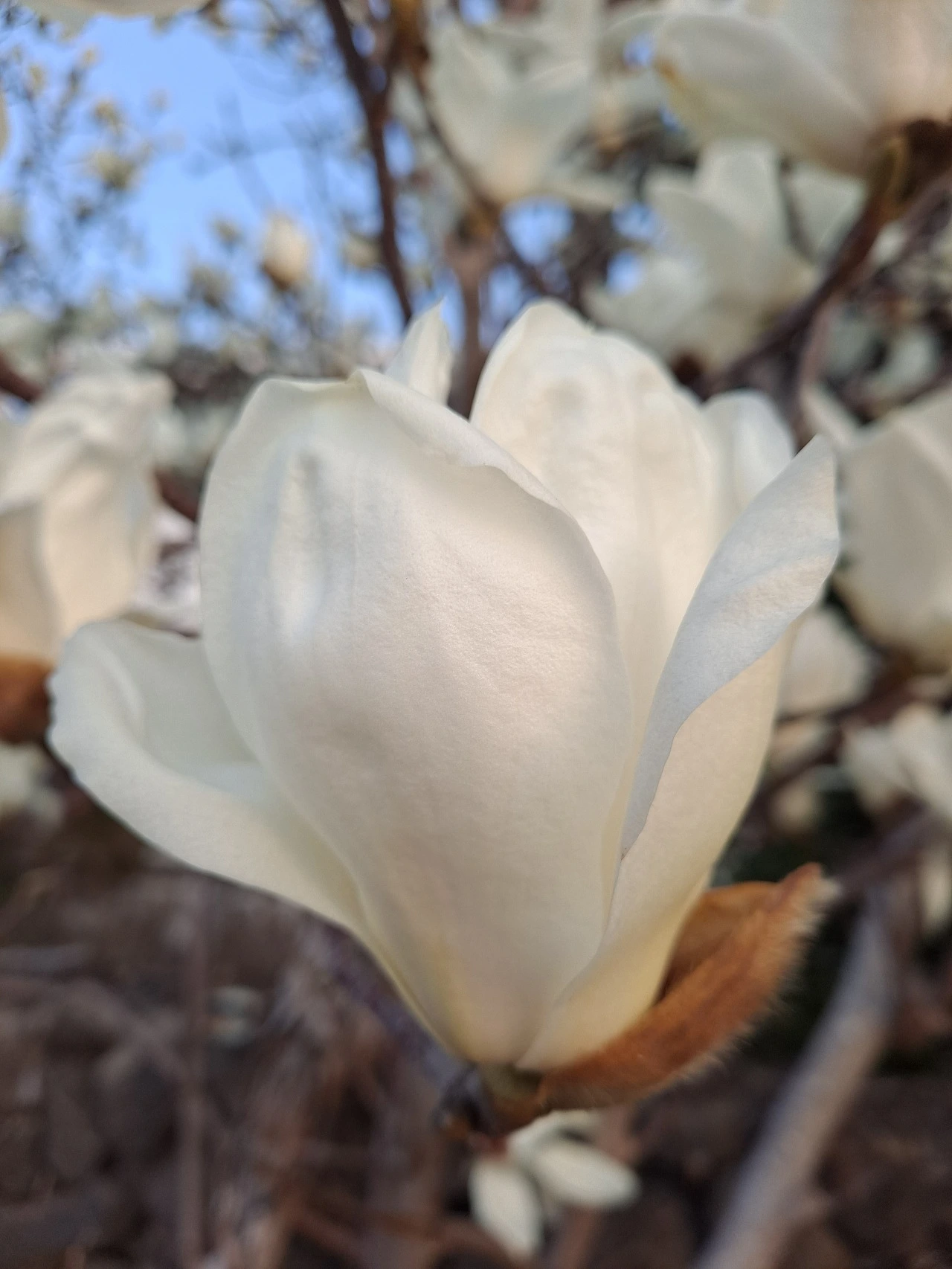 b7tnfe2DIM6VdxoIVWJkzXI10NU