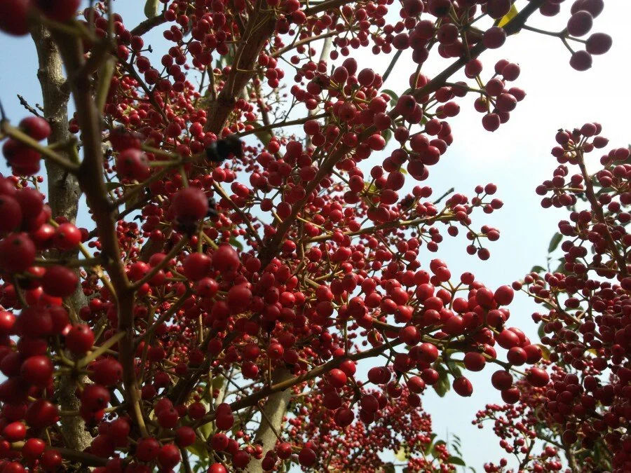 20180223_131031.jpg?type=w1200