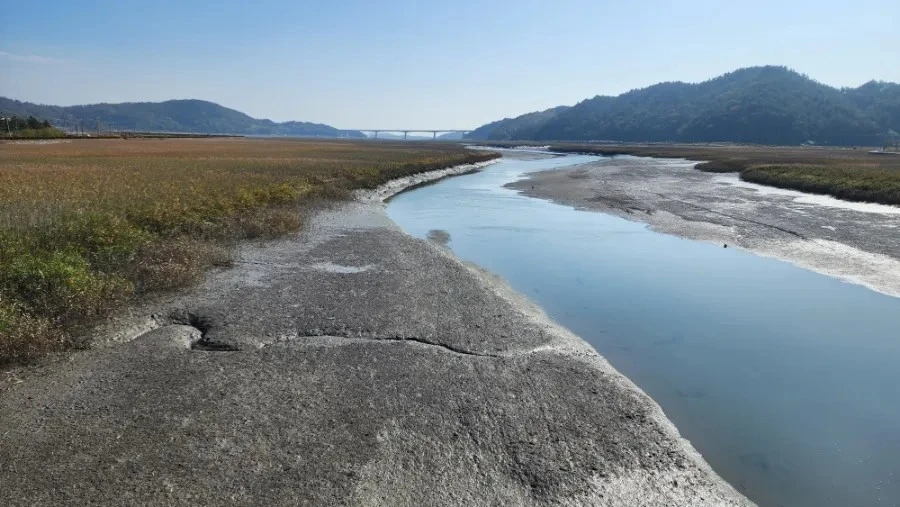 다운로드 (6).jfif