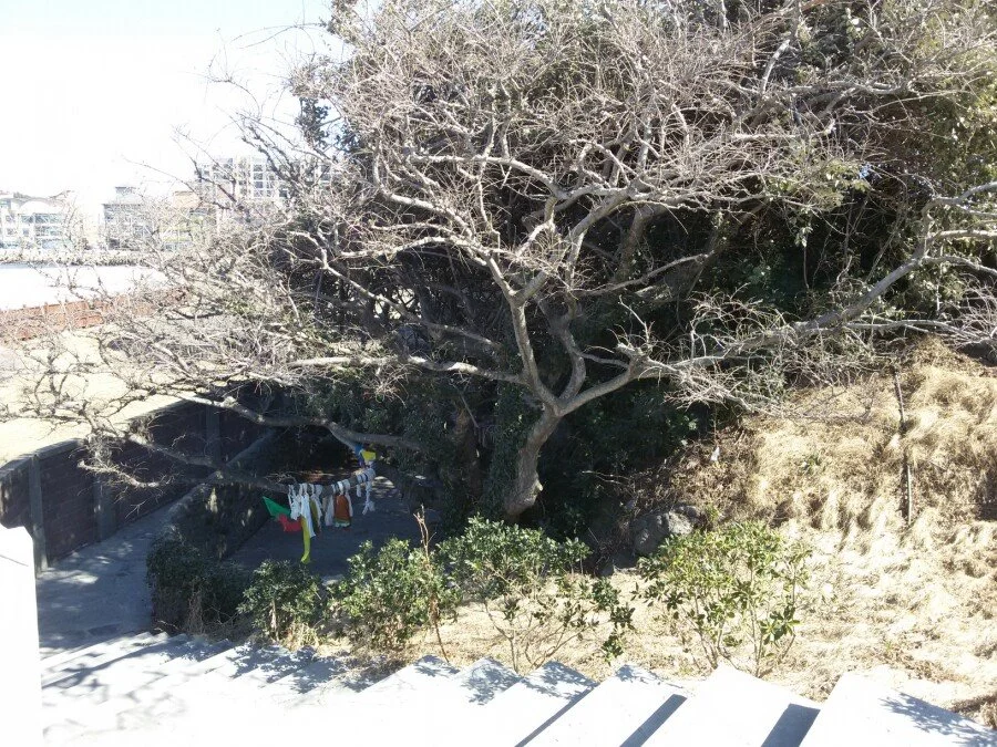 20180217_134830.jpg?type=w1200