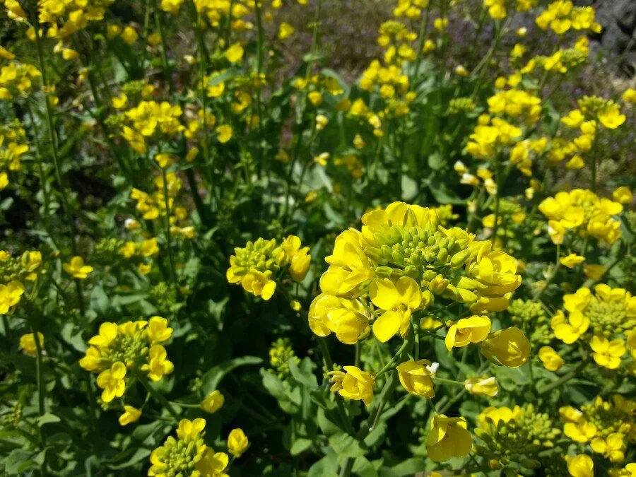 20180312_125820.jpg?type=w1200