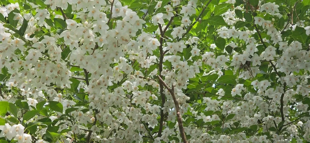 다운로드 (1).jfif